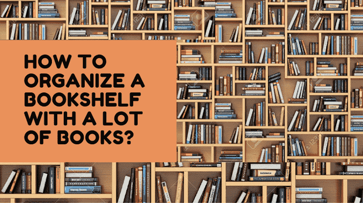 How TO ORGANIZE A BOOKSHELF WITH A LOT OF BOOKS